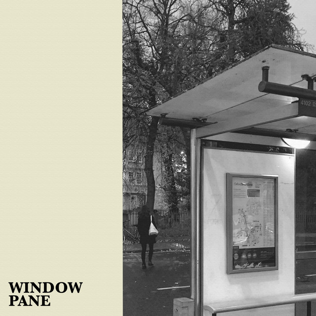 Window Pane cover