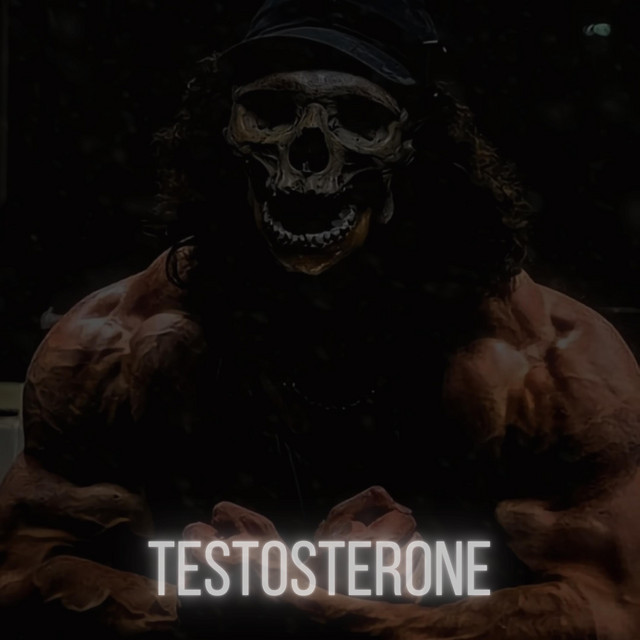 TESTOSTERONE cover art