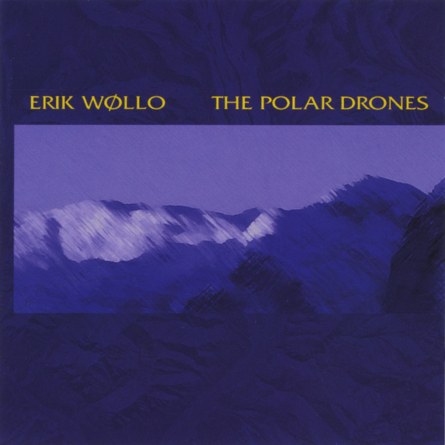 Polar Drones cover art