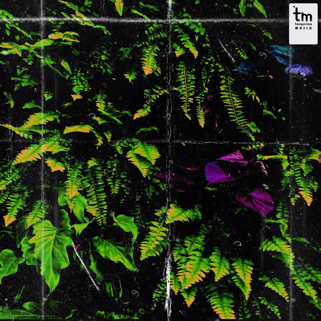 Empático cover art