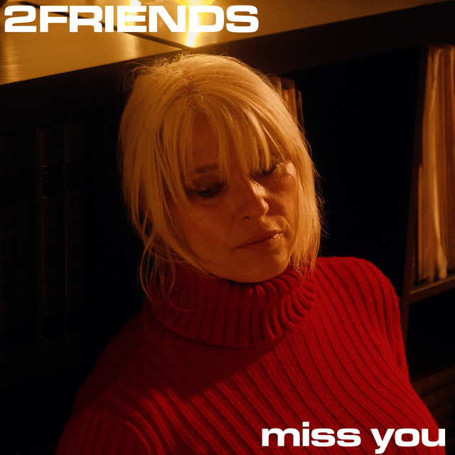 Miss you song and lyrics by 2friends spotify
