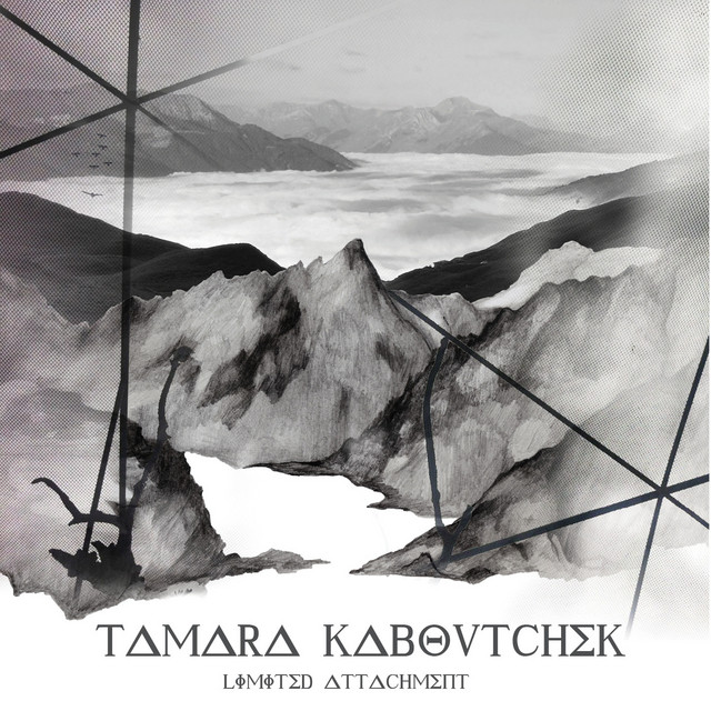 Limited Attachment cover