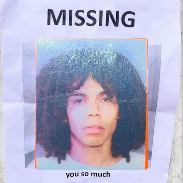 MISSING: you so much cover art