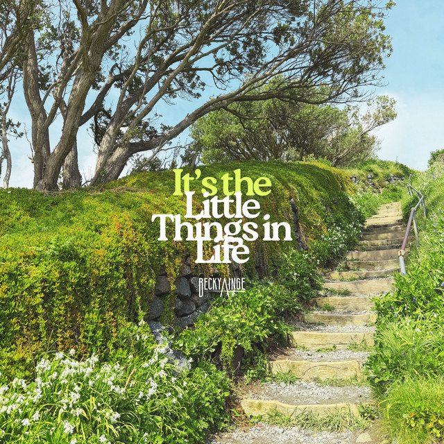 It's the Little Things in Life cover