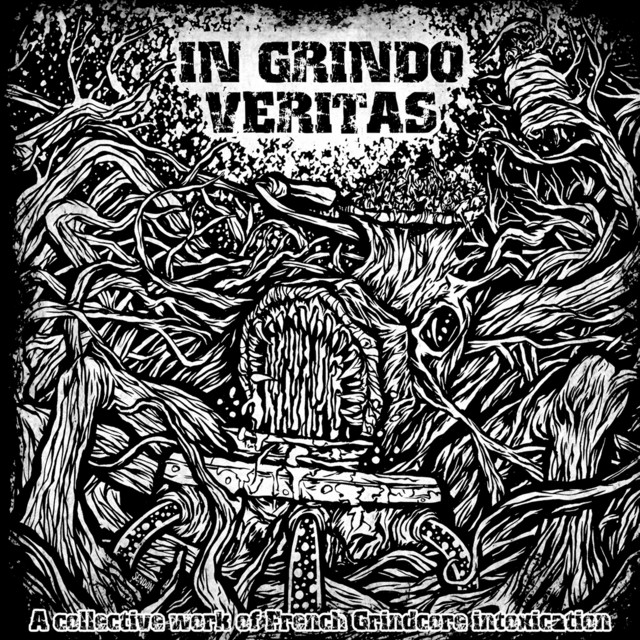 In Grindo Veritas cover art