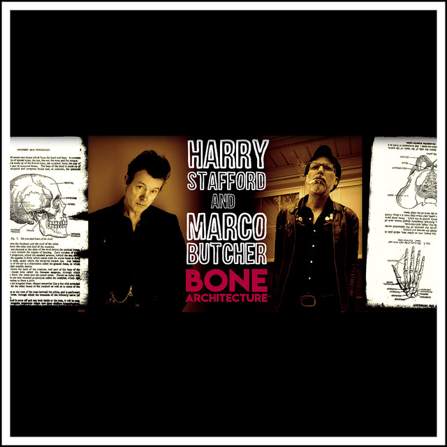Bone Architecture cover art