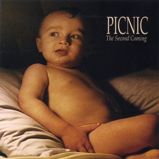 The Second Coming cover art