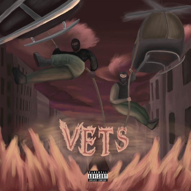 Vets cover art