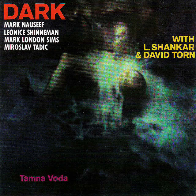 Tamna Voda cover art