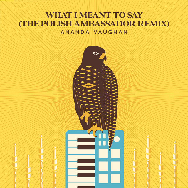 What I Meant To Say - The Polish Ambassador Remix