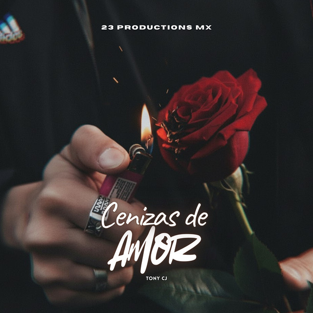 Cenizas de amor