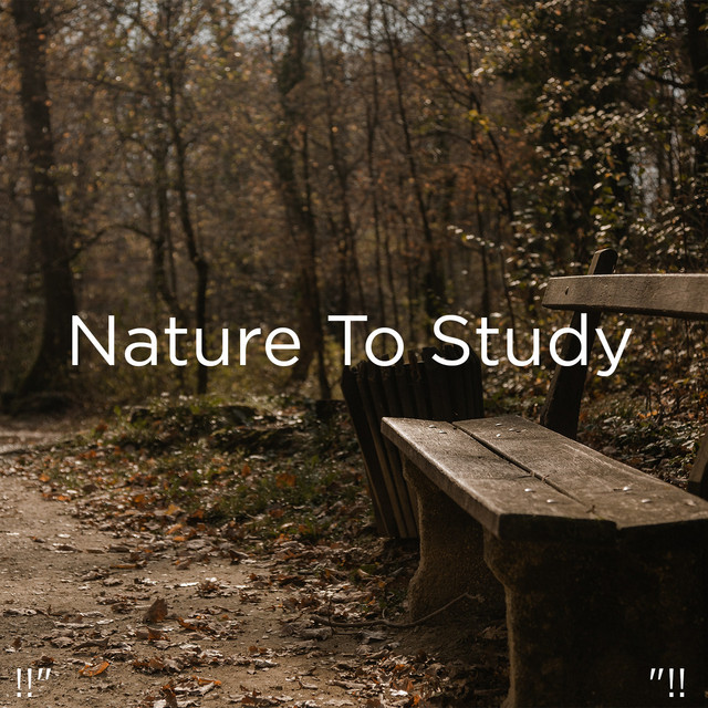 !!" Nature To Study "!! cover art