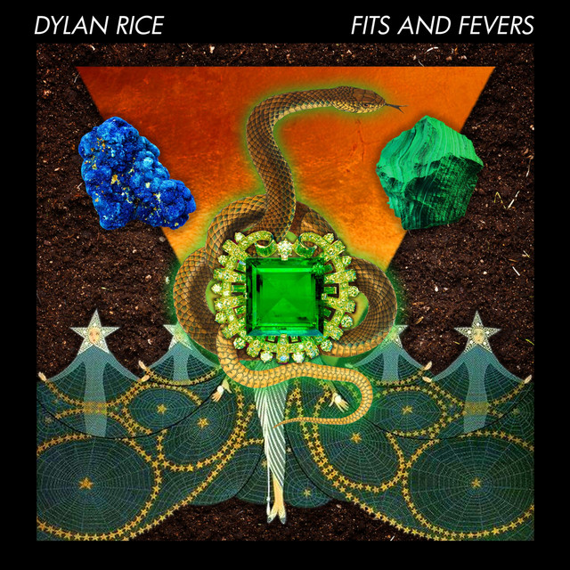 Fits and Fevers cover