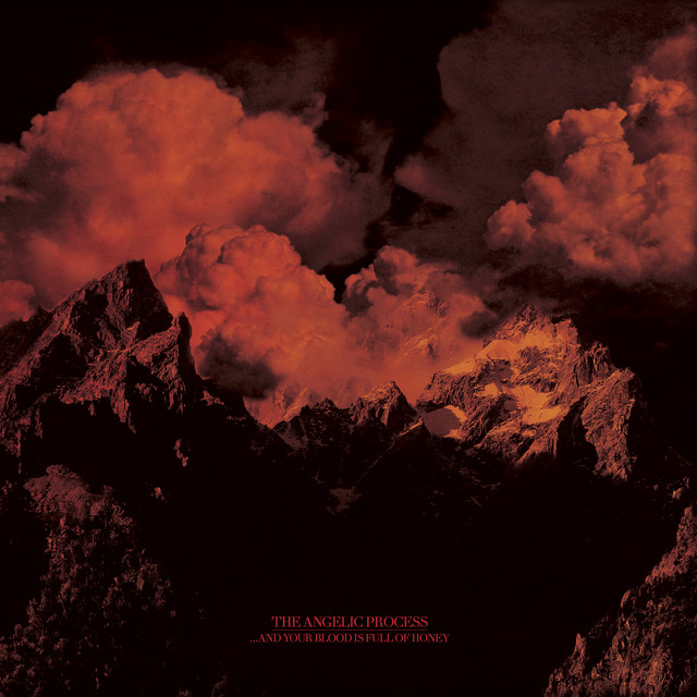 ...And Your Blood Is Full Of Honey cover art