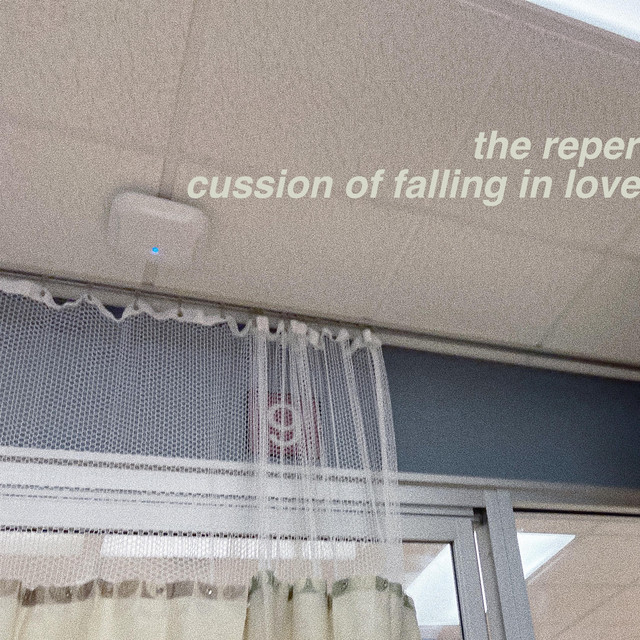 the repercussion of falling in love cover art