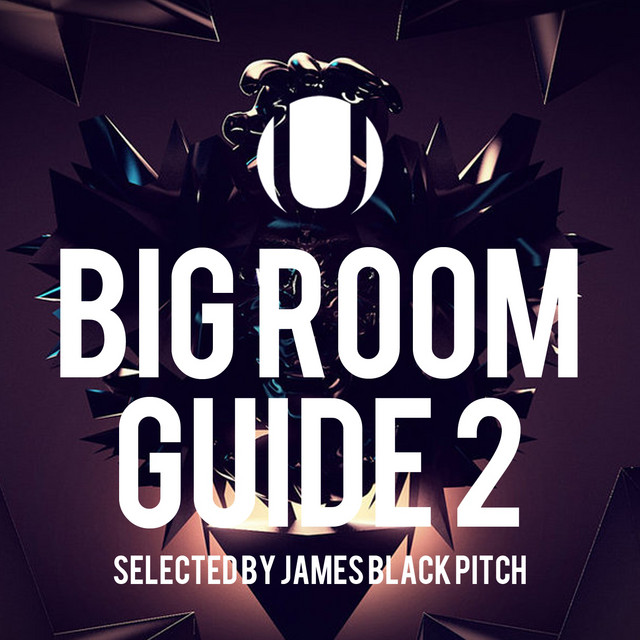 Big Room Guide 2 (Selected by James Black Pitch) cover art