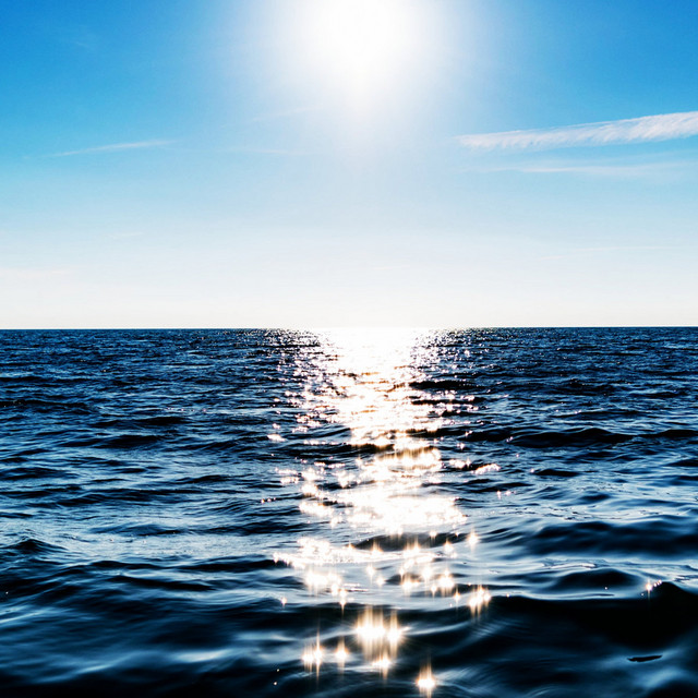 WATER FINDS ITS LEVEL cover