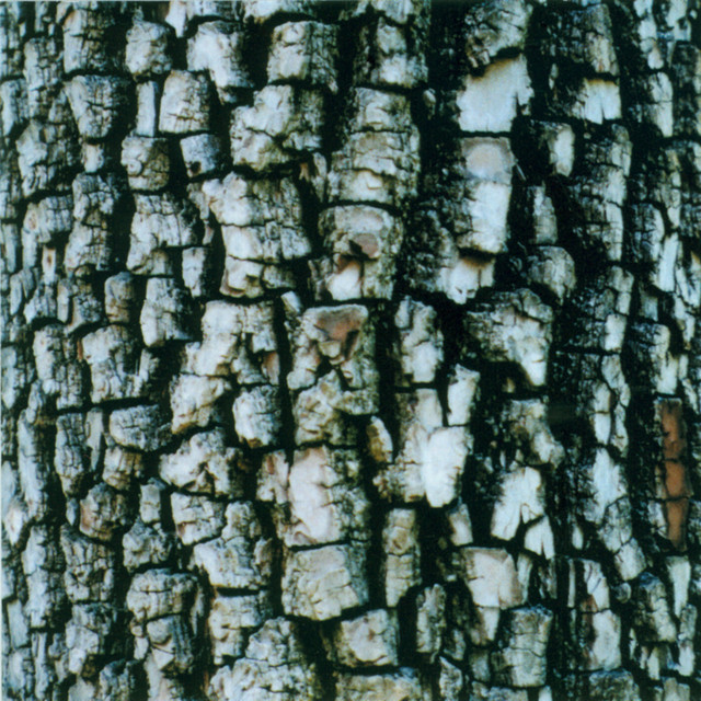 Interiors cover art