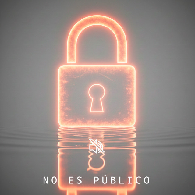 No Es Público