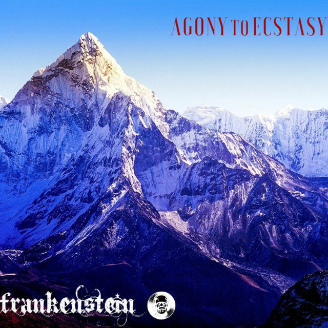 Agony to Ecstasy cover art