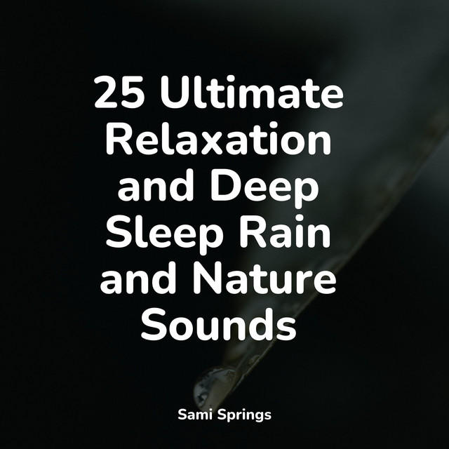 25 Ultimate Relaxation and Deep Sleep Rain and Nature Sounds - Album by ...