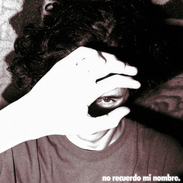 No Recuerdo Mi Nombre cover art