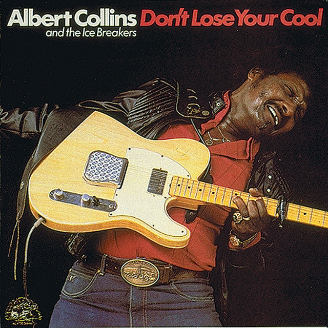 Don't Lose Your Cool by Albert Collins