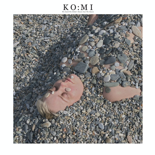 We Said We Didn't Know but We Knew cover art