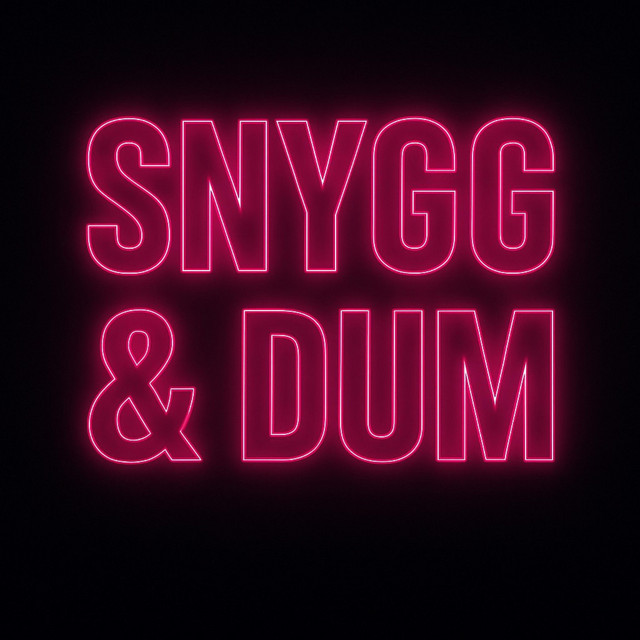 Snygg & Dum cover art