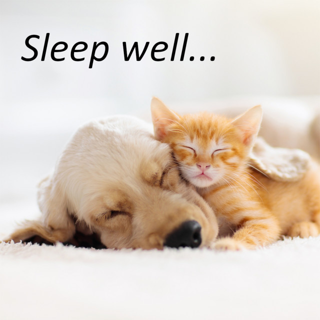 Sleep Well