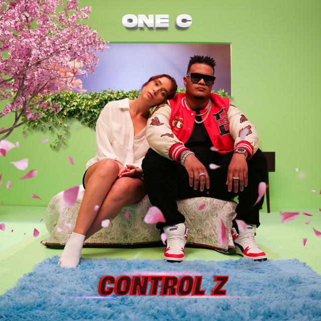 Control Z cover art
