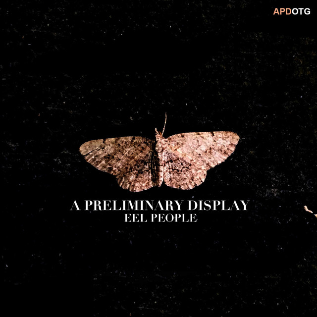 A Preliminary Display cover art