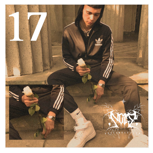 17 cover art