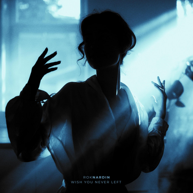 wish you never left cover art