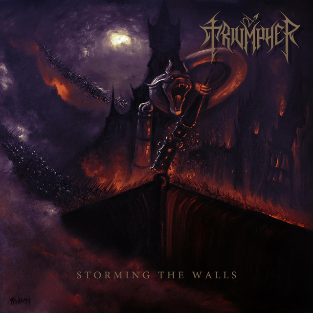 Storming The Walls cover