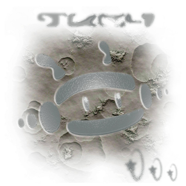 Homeseek cover art