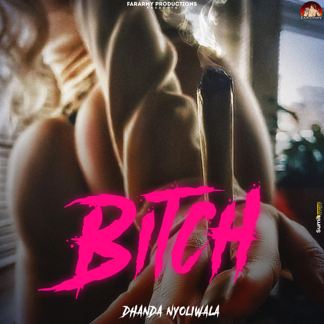 Bitch cover art
