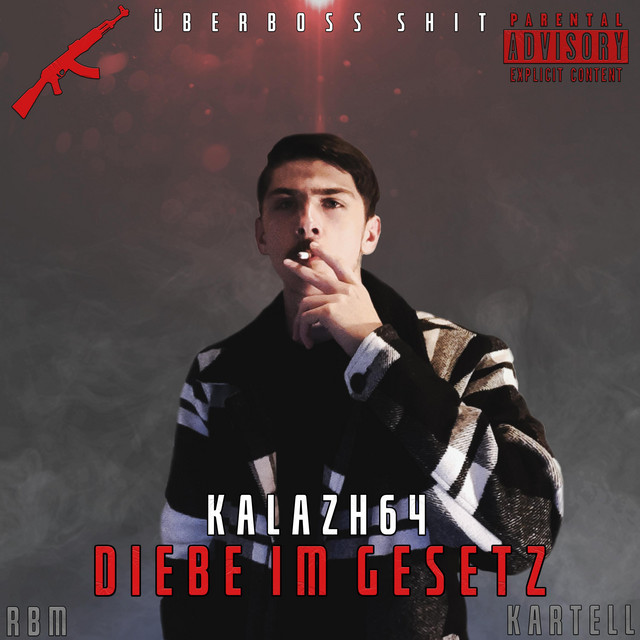 Diebe im Gesetz cover art