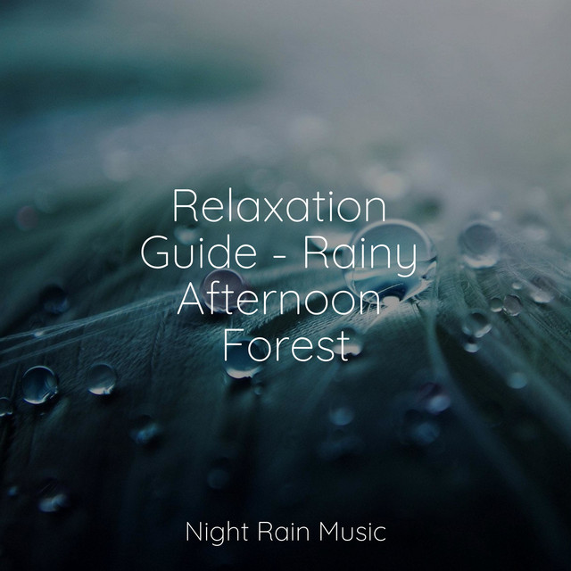 Relaxation Guide - Rainy Afternoon Forest cover art