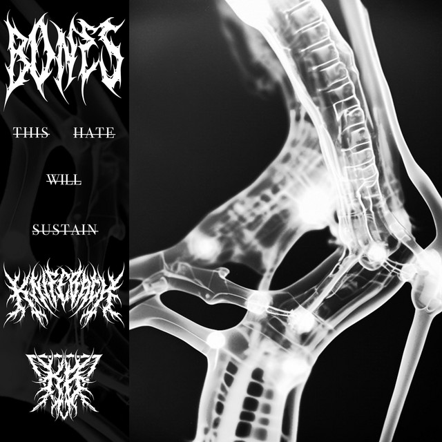 BONES cover art