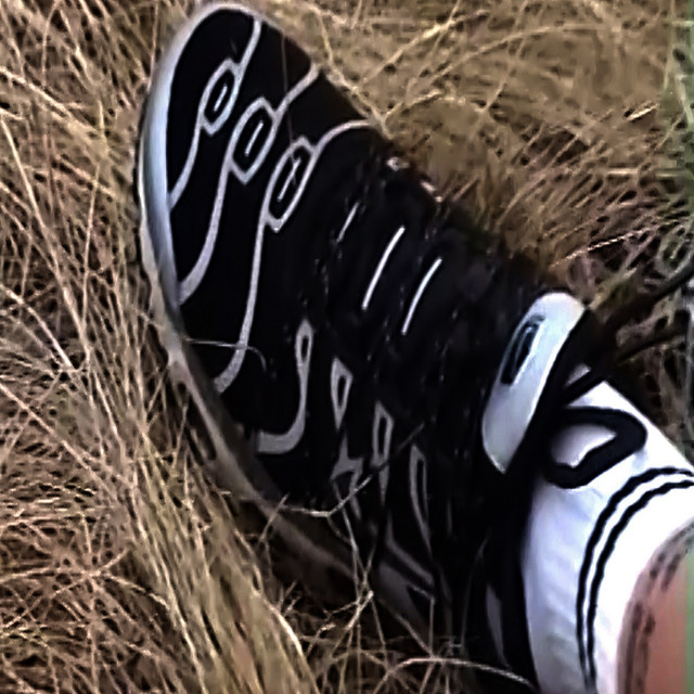 Обкладинка: Nike Princess — C.W.M