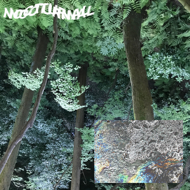 NOCTURNAL cover