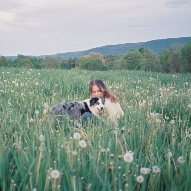 Solid Ground album image