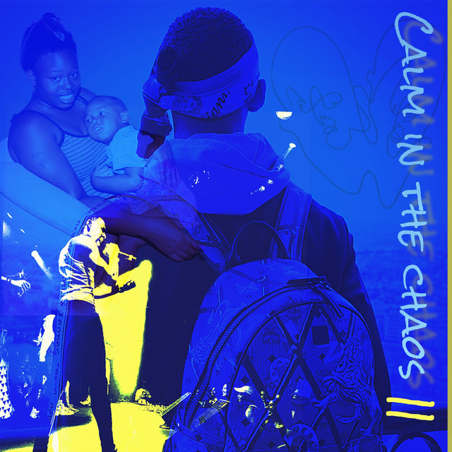 Calm in the Chaos || cover art
