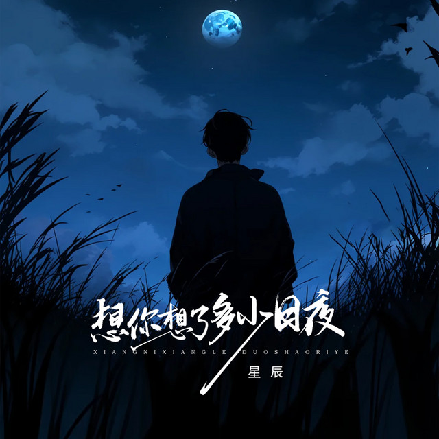 想你想了多少日夜