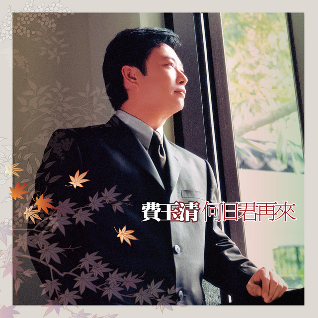 何日君再來 (2019 Remaster) cover art