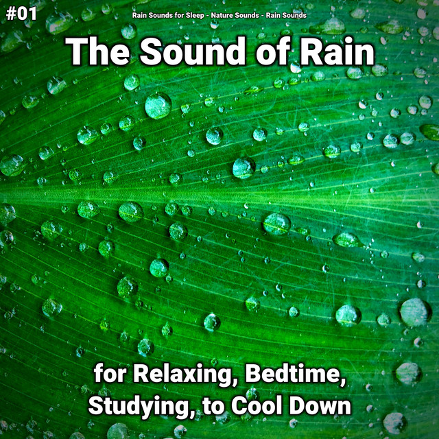 #01 The Sound of Rain for Relaxing, Bedtime, Studying, to Cool Down cover art