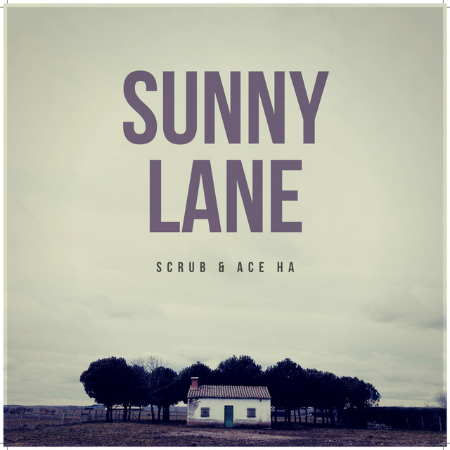 Sunny Lane cover