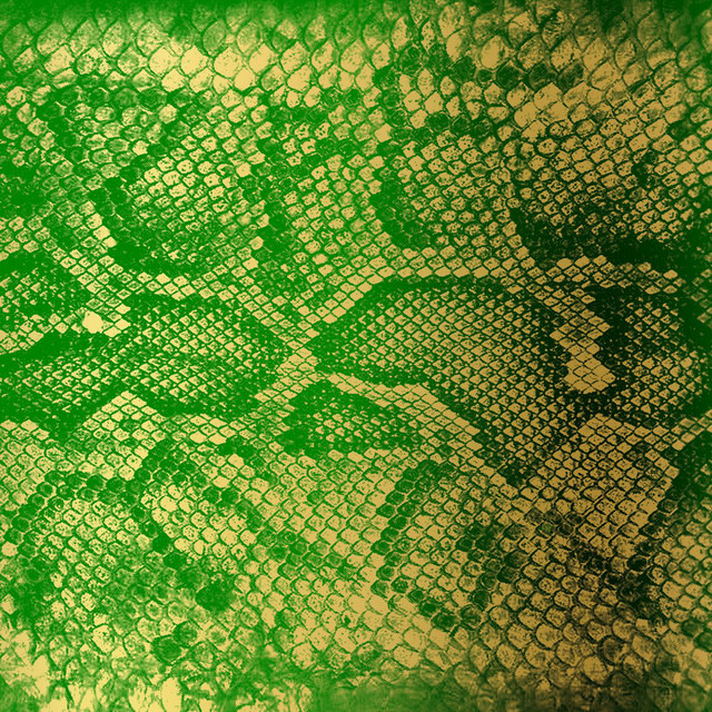 Money Green Viper cover art