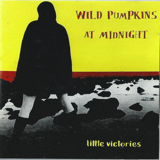 Wild Pumpkins at Midnight